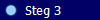   Steg 3