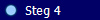   Steg 4