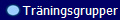 Trningsgrupper
